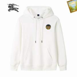 Picture of Burberry Hoodies _SKUBurberrym-3xl25t021708